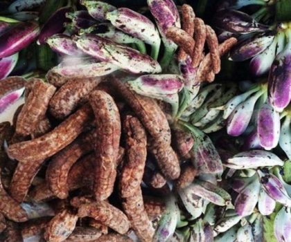 Chuối hột rừng và những công dụng chữa bệnh cực kỳ hiệu quả