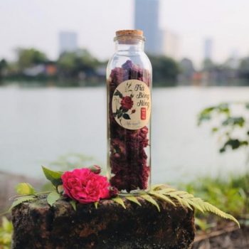 Trà hoa hồng nguyên bông có tác dụng gì? Chữa được bệnh gì?